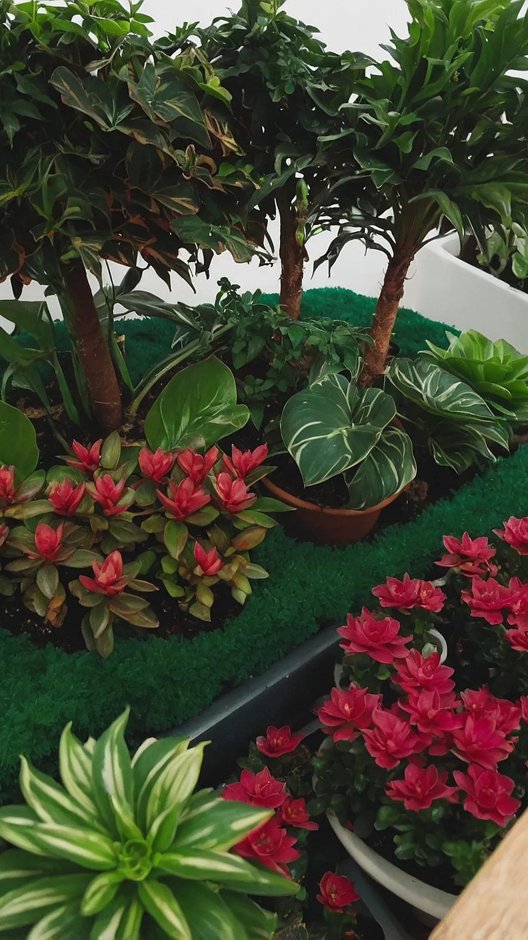 Indoor Garden Goals: Inspiring House Plant Ideas